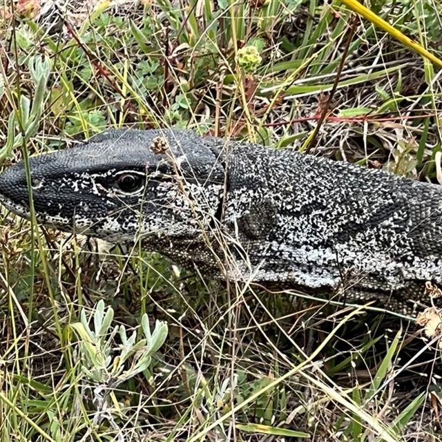 Jim's important sightings