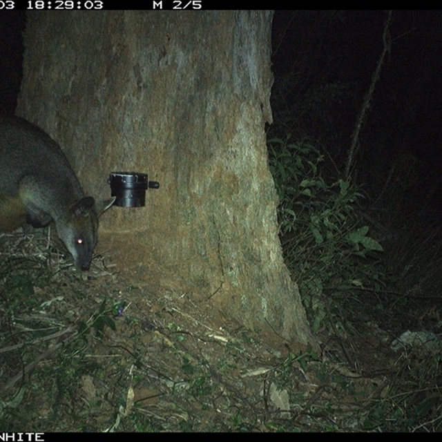 Land Libraries Survey - LLC1