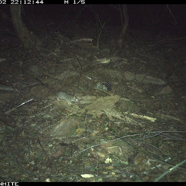 Land Libraries Survey - LLC2