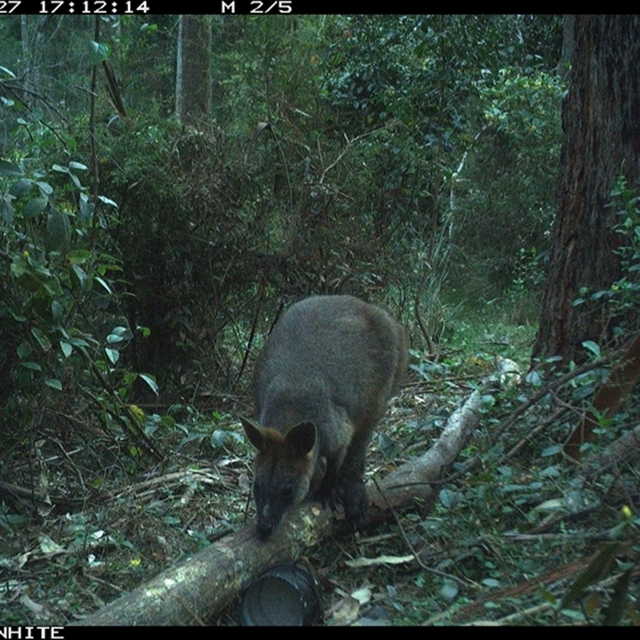 Land Libraries Survey - LLC3