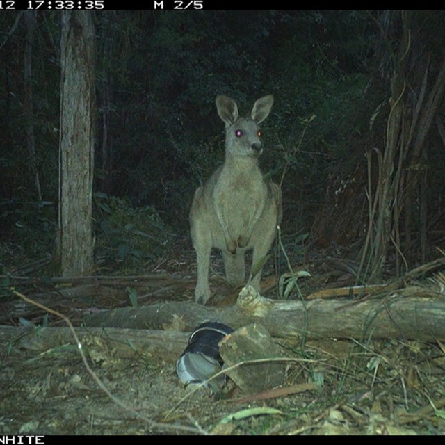 Land Libraries Survey - LLC4