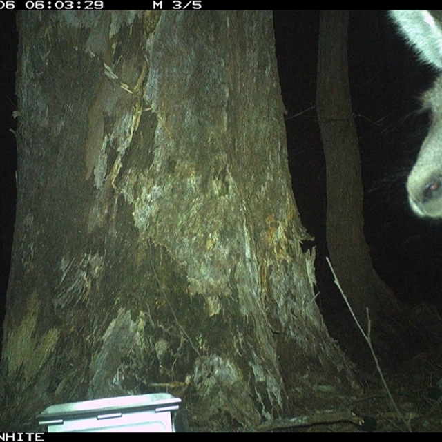 Land Libraries Survey - LLC5