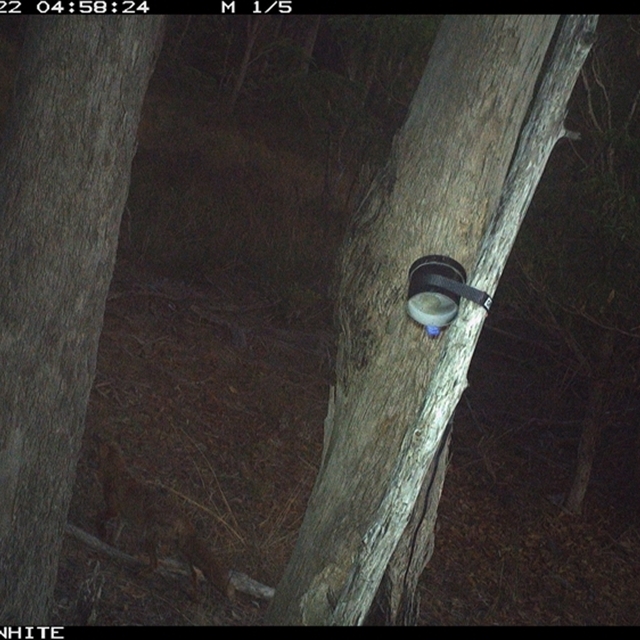 Land Libraries Survey - LLC8