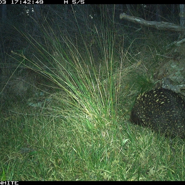 Land Libraries Survey - LLC14