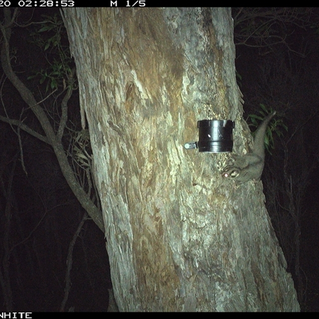 Land Libraries Survey - LLC15