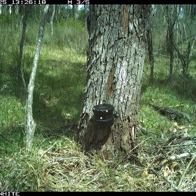 Land Libraries Survey - LLC16