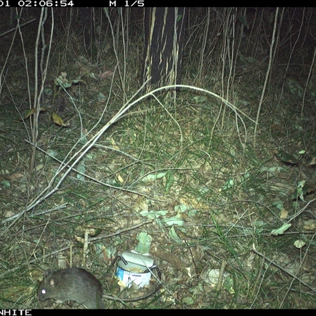 Land Libraries Survey - LLC19