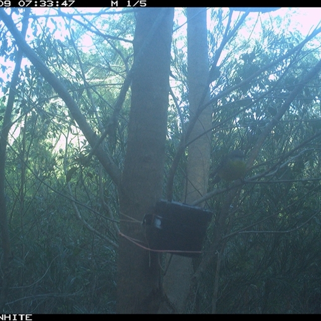 Land Libraries Survey - LLC20