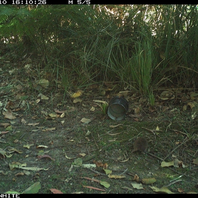 Land Libraries Survey - LLC4