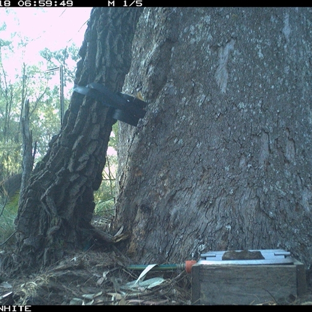 Land Libraries Survey - LLC6