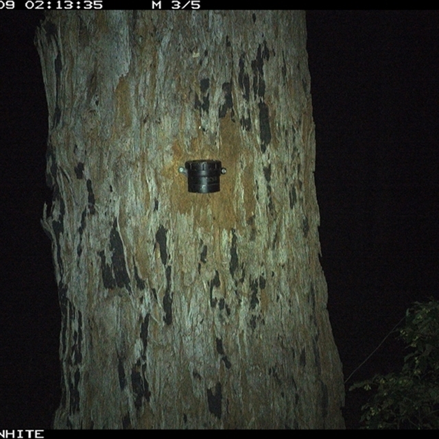 Land Libraries Survey - LLC21