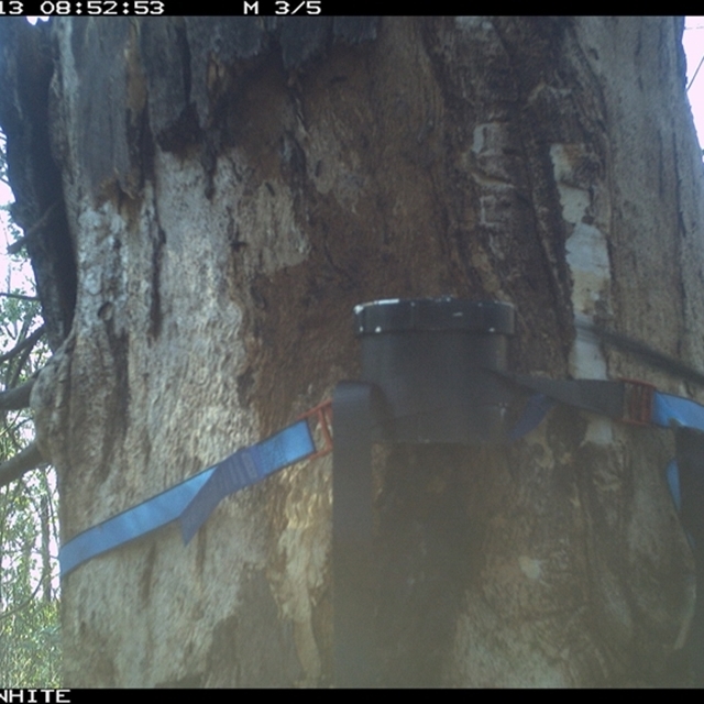 Land Libraries Survey - LLC23