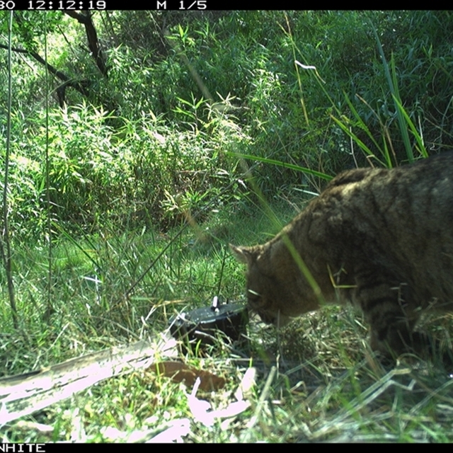 Land Libraries Survey - LLC24