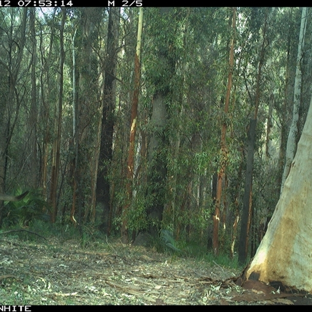 Land Libraries Survey - LLC25