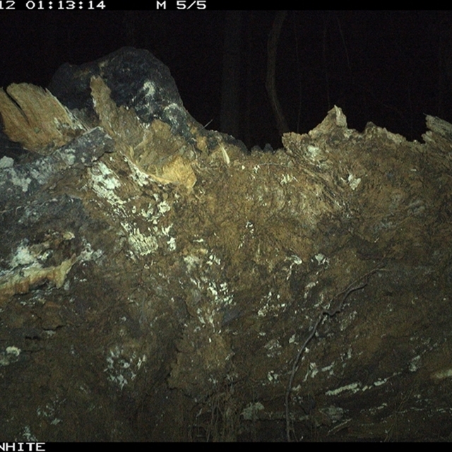 Land Libraries Survey - LLC26