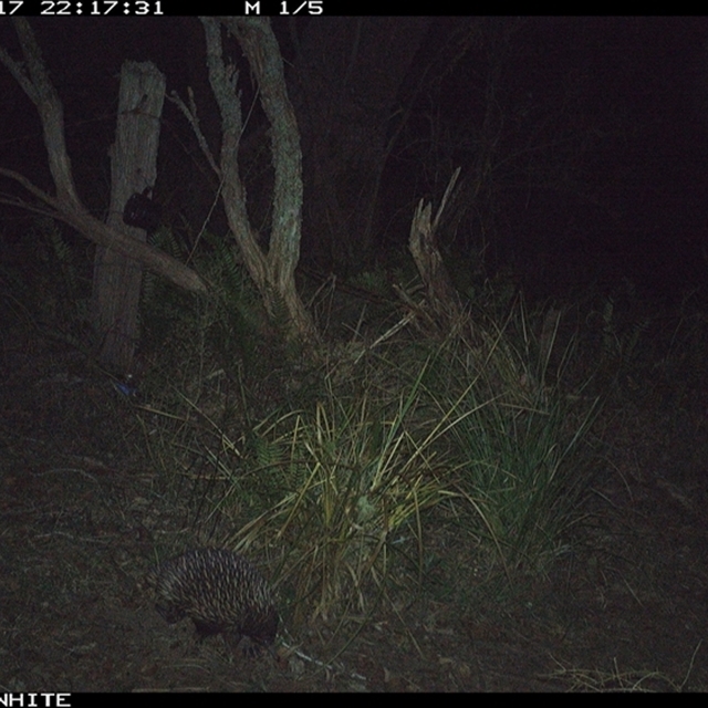 Land Libraries Survey - LLC27