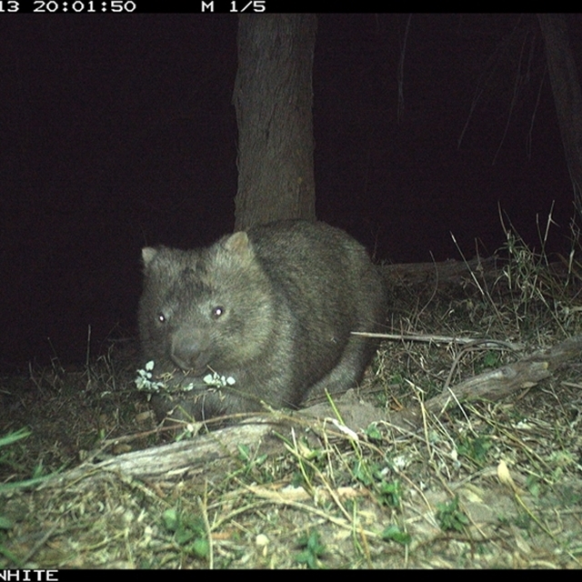 Land Libraries Survey - LLC28