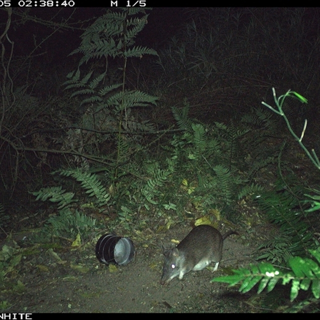 Land Libraries Survey - LLC32