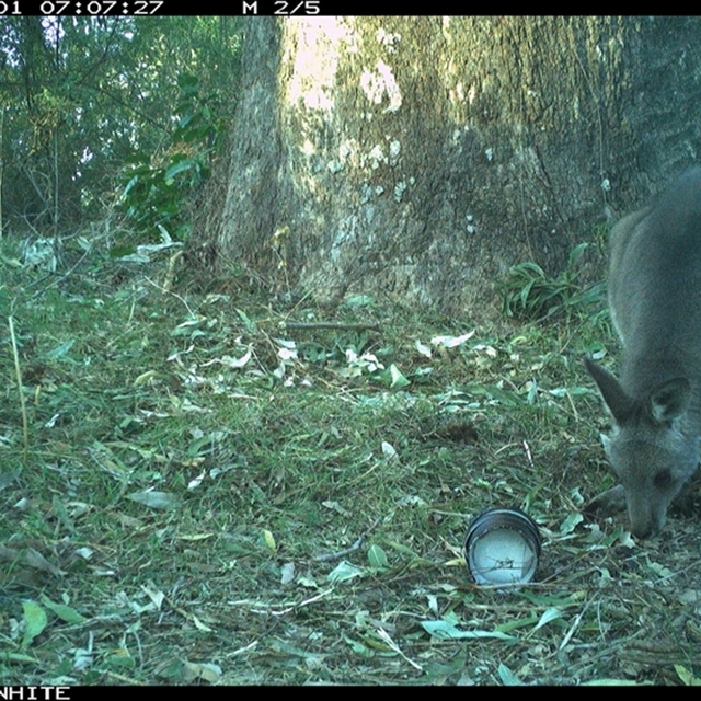 Land Libraries Survey - LLC33