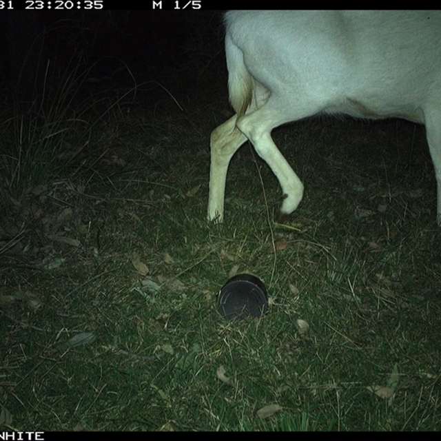 Land Libraries Survey - LLC34