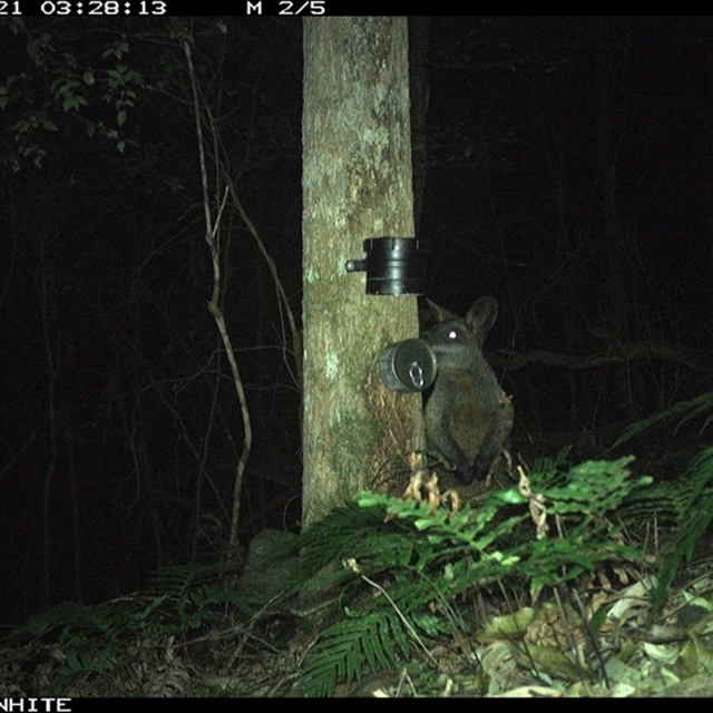 Land Libraries Survey - LLC37