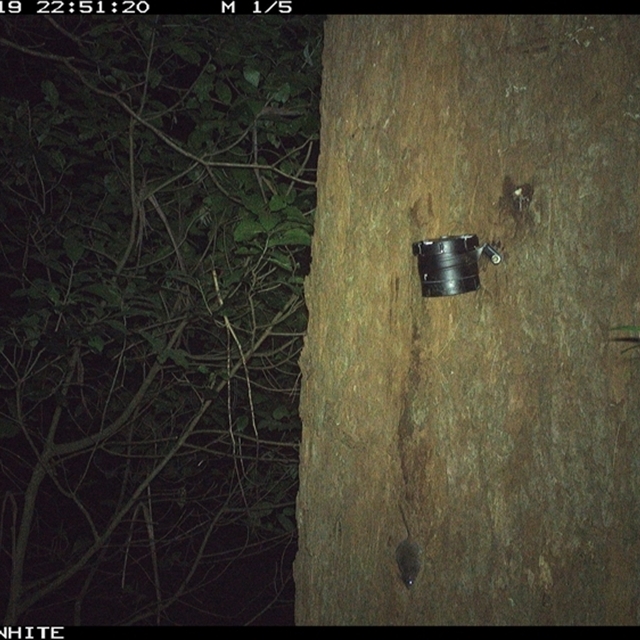 Land Libraries Survey - LLC38