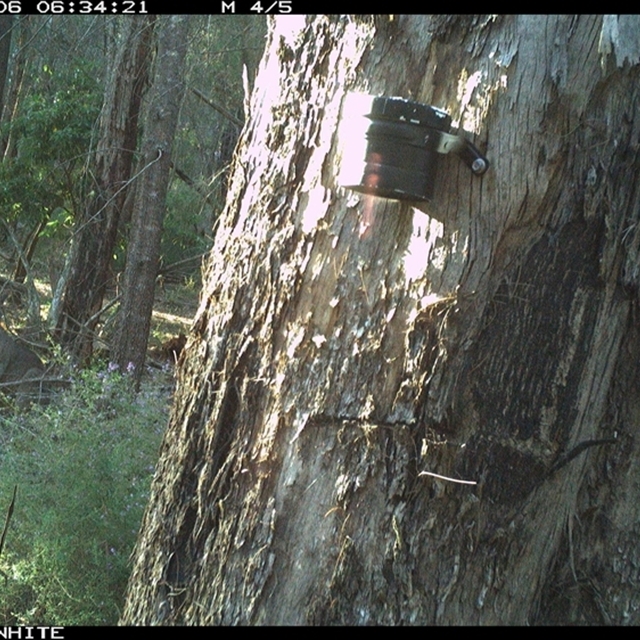 Land Libraries Survey - LLC41