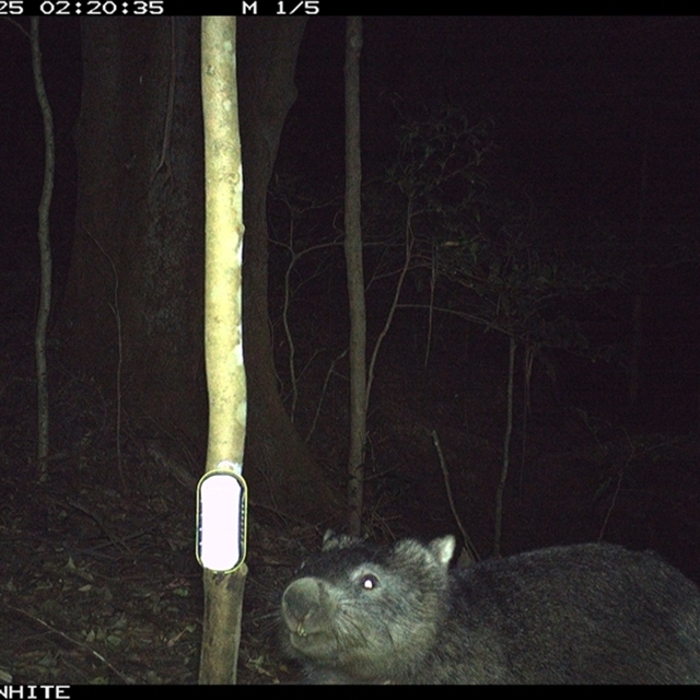 Land Libraries Survey - LLC43