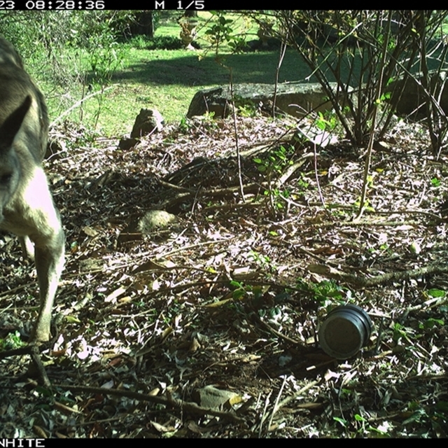 Land Libraries Survey - LLC44