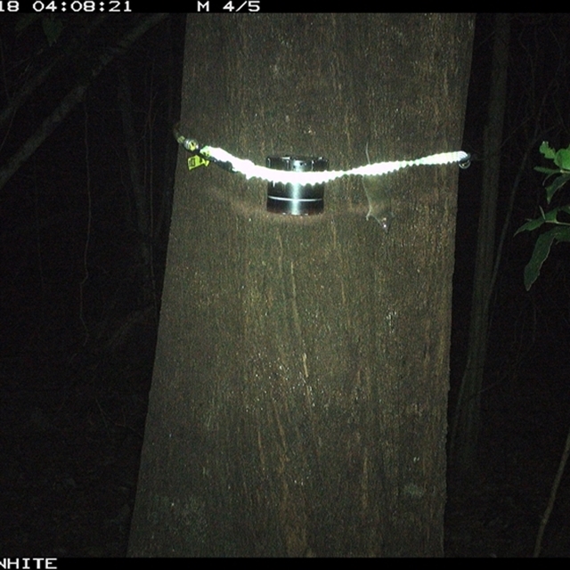 Land Libraries Survey - LLC45