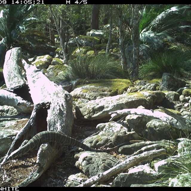 Land Libraries Survey - LLC49