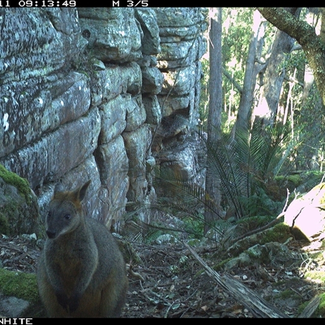 Land Libraries Survey - LLC50