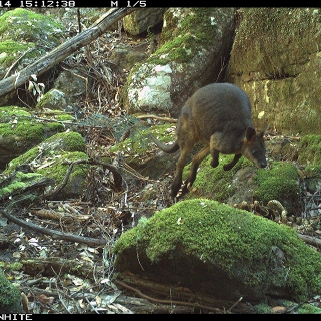 Land Libraries Survey - LLC51