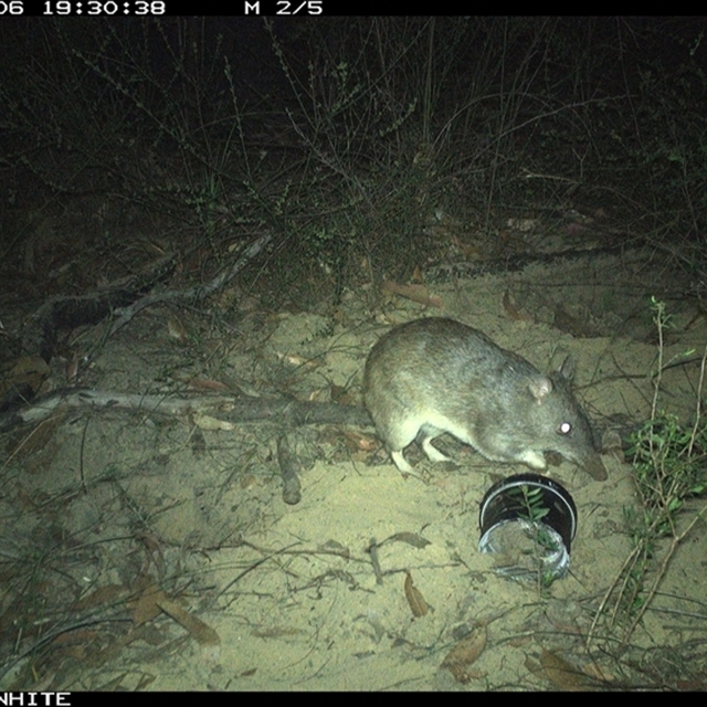 Land Libraries Survey - LLC59_60