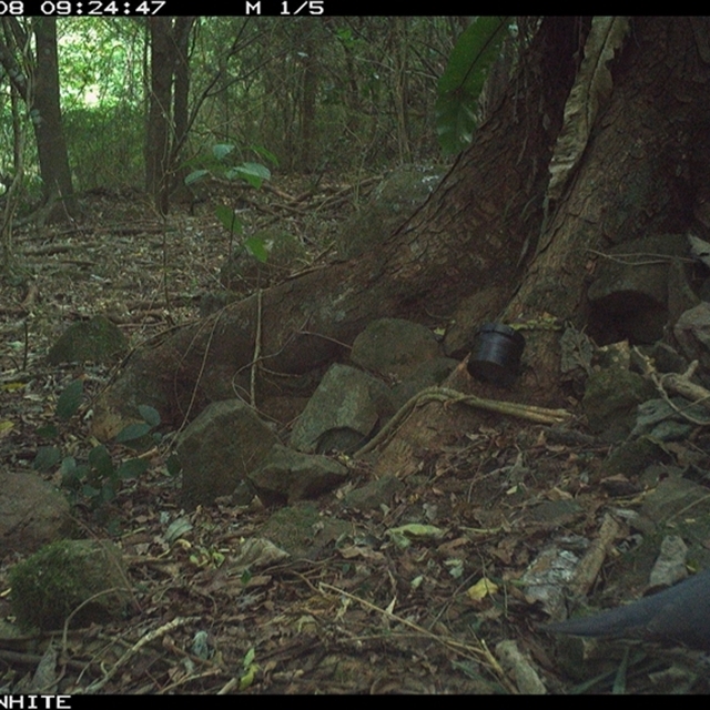 Land Libraries Survey - LLC67_68