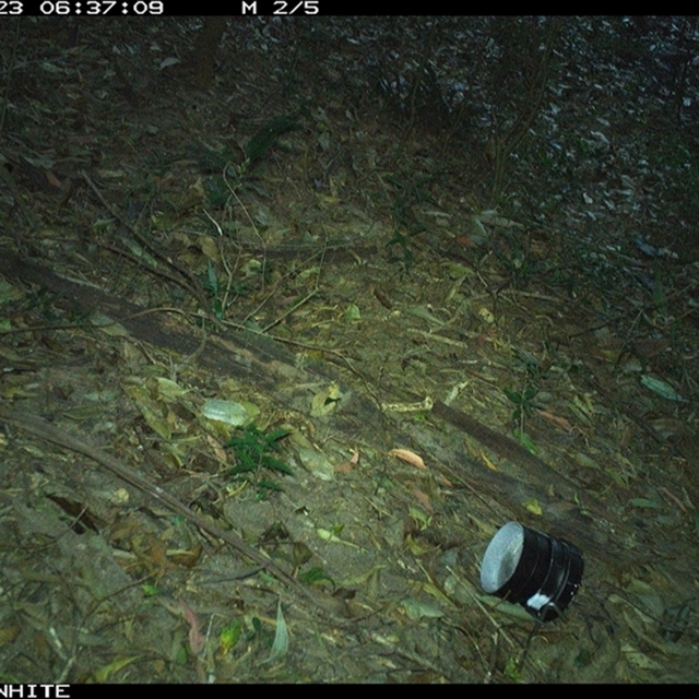 Land Libraries Survey - LLC71_72