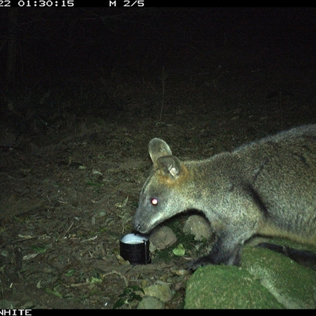 Land Libraries Survey - LLC79_80