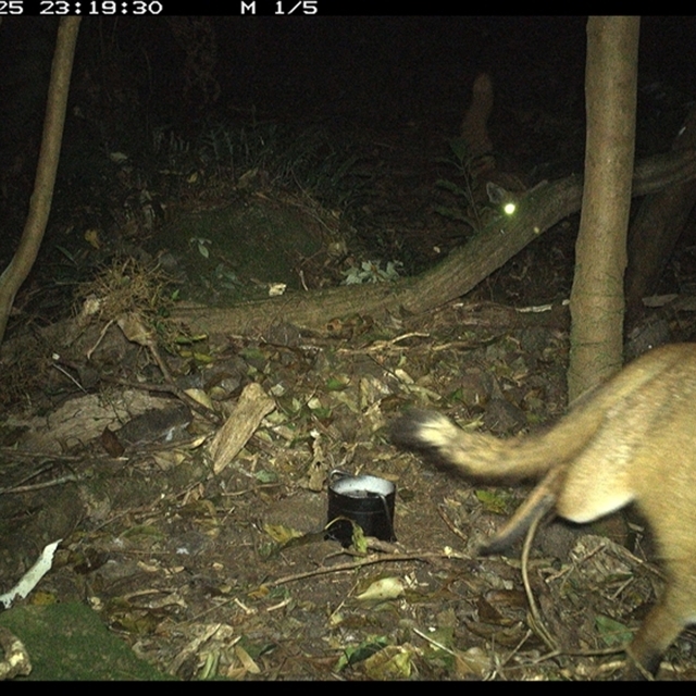 Land Libraries Survey - LLC81_82