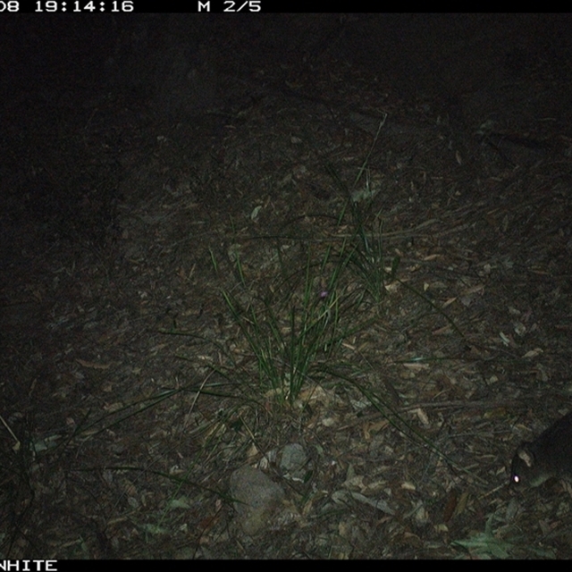 Land Libraries Survey