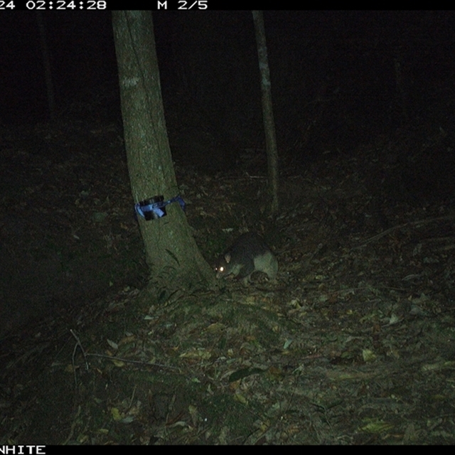 Land Libraries Survey - LLC75_76