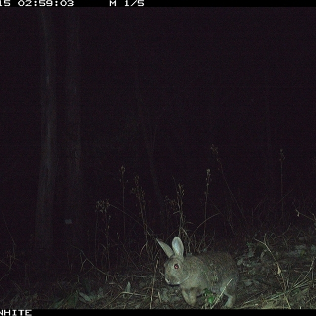 Land Libraries Survey - LLC30