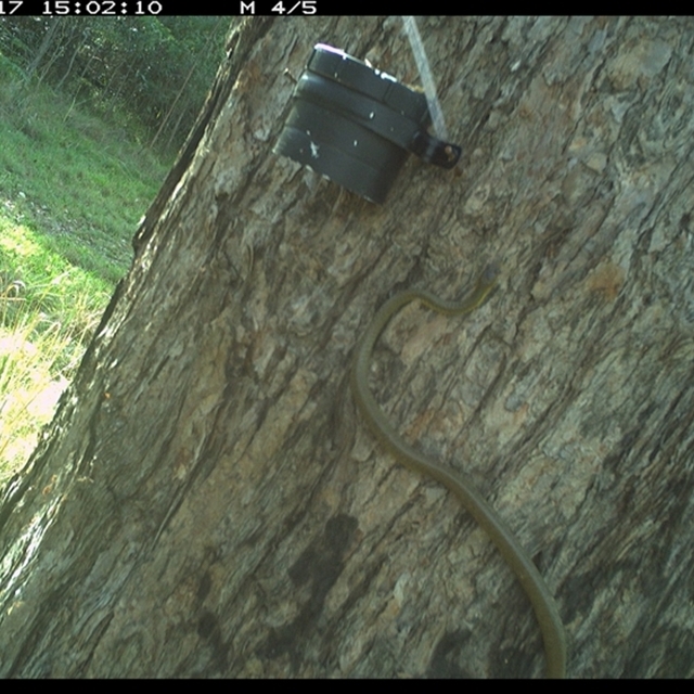 Land_Libraries_2024_LLC85_86