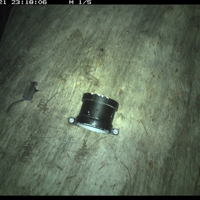 Land_Libraries_2024_LLC87_88