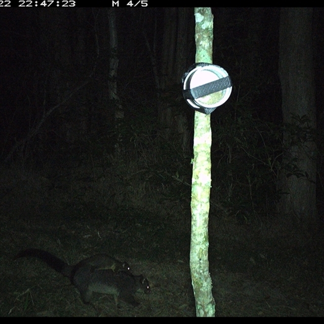 Land_Libraries_2024_LLC89_90