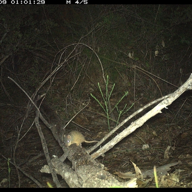 Land_Libraries_2024_LLC93_94