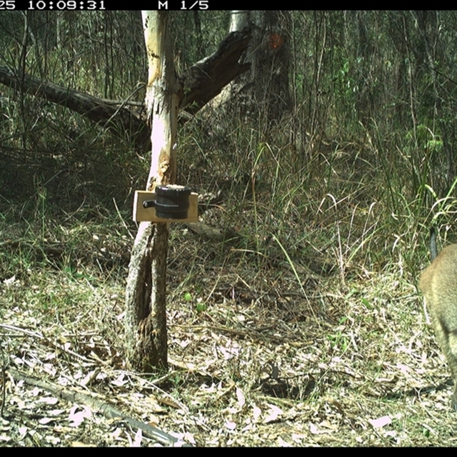 Land_Libraries_2024_LLC95_96