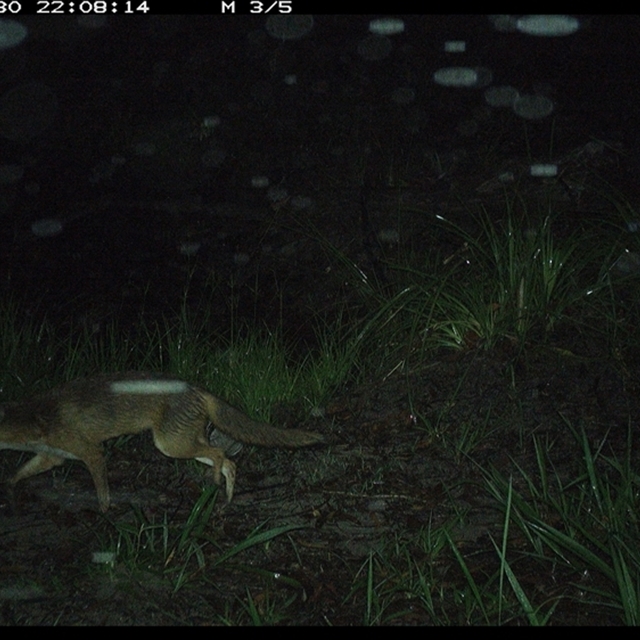 Land_Libraries_2024_LLC101_102