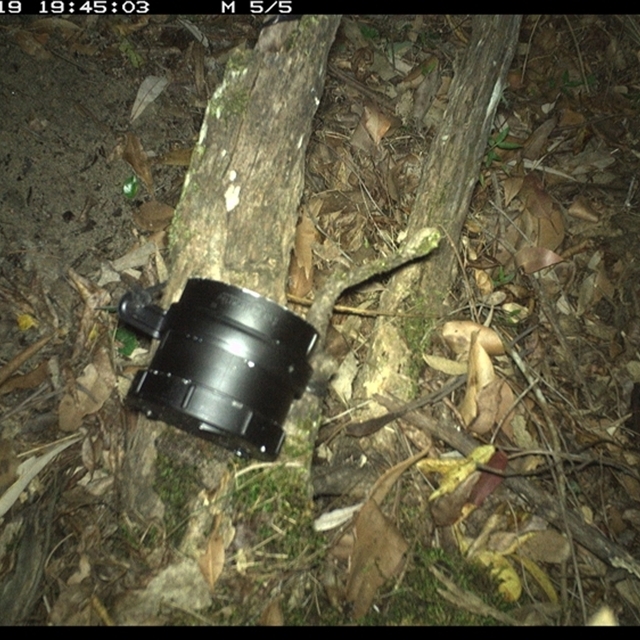 Land_Libraries_2024_LLC103_104