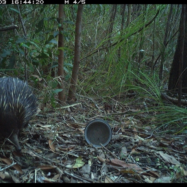 Land_Libraries_2024_LLC113_114