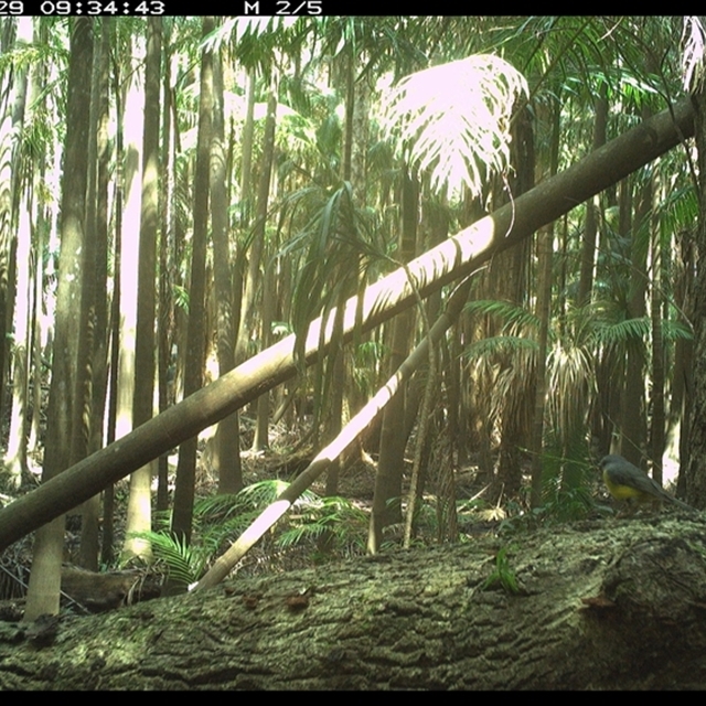 Land_Libraries_2024_LLC117_118